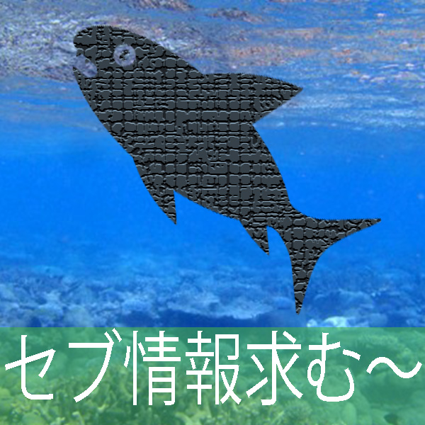 セブ情報