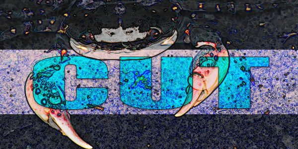 がっつりカットして染めた結果